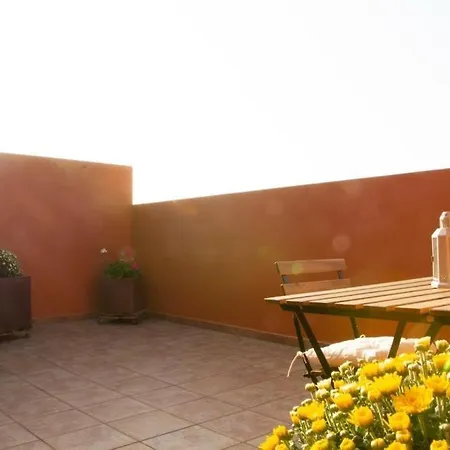 Estudio Casa Monica 绍萨尔